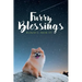 Furry Blessings