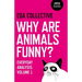 Why are Animals Funny?