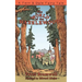 The World of the Wazzlewoods