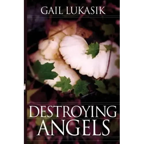 Destroying Angels: A Leigh Girard Mystery