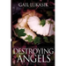 Destroying Angels: A Leigh Girard Mystery