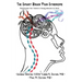 The Smart Brain Pain Syndrome: The Primer for Teens & Young Adults in Pain