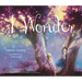 I Wonder