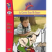 Al Capone Does My Shirts by Gennifer Choldenko Lit Link Grades 4-6