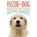 Inside of a Dog -- Young Readers Edition: What Dogs See, Smell, and Know