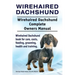 Wirehaired Dachshund. Wirehaired Dachshund Complete Owners Manual. Wirehaired Dachshund book for care, costs, feeding, grooming, health and training.