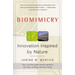 Biomimicry: Innovation Inspired by Nature