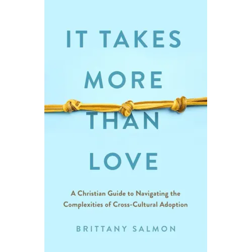 It Takes More Than Love: A Christian Guide to Navigating the Complexities of Cross-Cultural Adoption