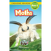 Moths: Backyard Bugs and Creepy-Crawlies (Engaging Readers, Level Pre-1)