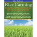 Rice Farming complete with methods to increase rice crop yield