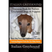 Italian Greyhound Training Book for Italian Greyhound Dogs & Puppies By D!G THIS DOG Training, Easy Dog Training, Professional Results, Training Begin