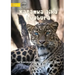 Big Cats - Katamwa aika buubura (Te Kiribati)