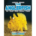 THE ANGLERFISH Do Your Kids Know This?: A Children's Picture Book
