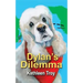 Dylan's Dilemma