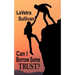 Can I Borrow Some Trust?