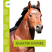 Quarter Horses