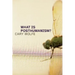 What Is Posthumanism?: Volume 8