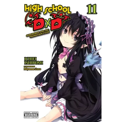 High School DXD, Vol. 11 (Light Novel): Volume 11