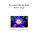 Sārkutāvlī Tīkā by Giānī Bishan Singh