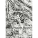 Babyn Yar: Past, Present, Future