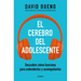 El Cerebro del Adolescente: Descubre Cómo Funciona Para Entenderlos Y Acompañarlos / The Teenage Brain: Explore Its Workings to Understand and Support