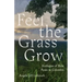 Feel the Grass Grow: Ecologies of Slow Peace in Colombia