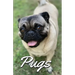 Pugs Photo Book for Writing and Note Taking: Writing Pad with Pug Pictures, Dog Lover Gifts