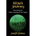 Bilbo's Journey: Discovering the Hidden Meaning in the Hobbit