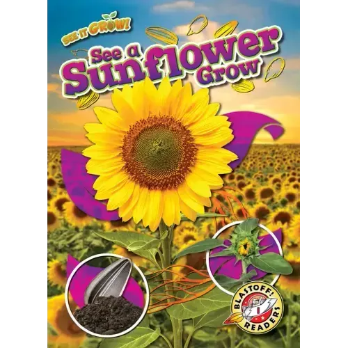 See a Sunflower Grow