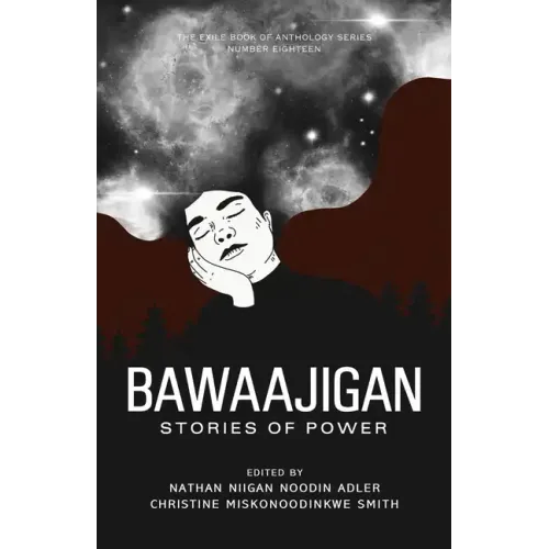 Bawaajigan: Stories of Power: The Exile Book of Anthology Series: Number Eighteen