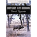Buffaloes by My Bedroom