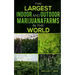 The Largest Indoor and Outdoor Marijuana Farms in the World