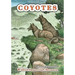 Coyotes