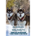 Alaskan Malamute: Thinking Like A Dog And Building A Smart Program To Train Your Dog: Tips For English Foxhound Training