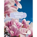 Address Book