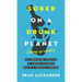 Sober On A Drunk Planet: The Unexpected Shortcut To Finding Happiness, Health And Financial Freedom