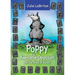 Poppy the Awesome Opossum and The Book of Runes