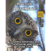 Practice Arithmetic: Level 2 (ages 9 to 11)