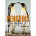 Penguins in the Wild