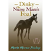 Dinky: The Nurse Mare's Foal