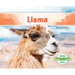 Llama