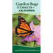 Garden Bugs & Insects of California: Identify Pollinators, Pests, and Other Garden Visitors