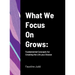 What We Focus On Grows: Fundamental Concepts for Creating the Life you Choose