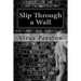 Slip Through a Wall: How One Can Change His reality