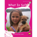 What Is Soft?