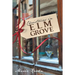Christmas in Elm Grove