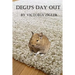 Degu's Day Out