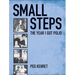 Small Steps