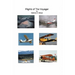 Flights of the Voyager
