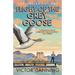 Flight of the Grey Goose